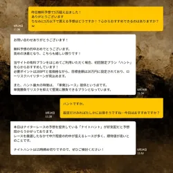 担当とのチャットでのやり取り