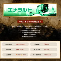 購入予定のエメラルドの詳細